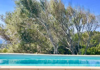 a blue swimming pool with trees in the background at Les Villas MarInCelu in Porto Pollo