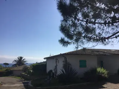 a white house with a tree in front of it at Résidence Playa Del'Oro in Favone