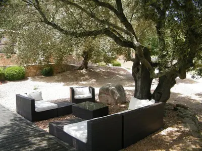 a park with two couches and a tree at Les Jardins de Mathieu in Porto-Vecchio