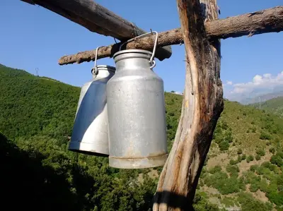 two metal bells hanging from a wooden pole at Les Bergeries 