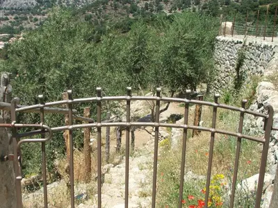 a metal fence in front of a hill with trees at Les Bergeries 