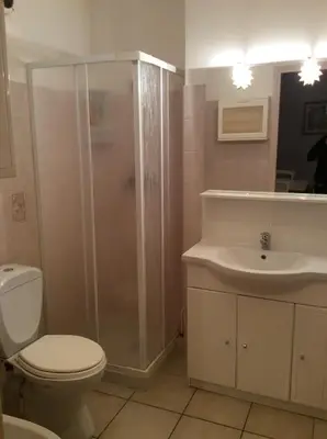 a bathroom with a shower and a toilet and a sink at Rez de Villa Vue Mer Panoramique in Furiani