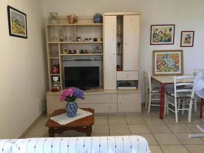 a living room with a tv and a vase of flowers on a table at Rez de Villa Vue Mer Panoramique in Furiani