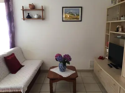 a living room with a vase of flowers on a table at Rez de Villa Vue Mer Panoramique in Furiani