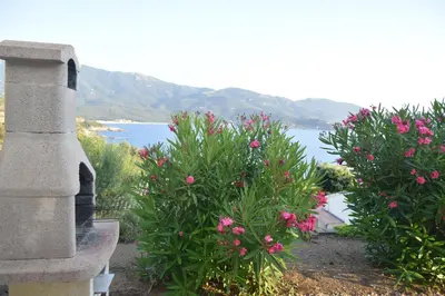 two bushes with pink flowers in front of a body of water at le relais de tiuccia in Casaglione