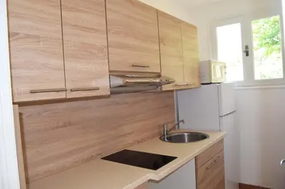 a kitchen with wooden cabinets and a sink and a refrigerator at le relais de tiuccia in Casaglione