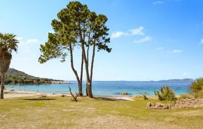 two trees on a beach near the water at Villa Nicolas in Coti-Chiavari