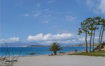 a beach with a palm tree and a body of water at Villa Nicolas in Coti-Chiavari