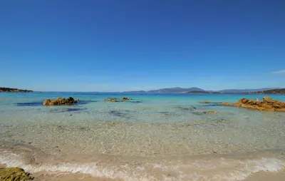 a group of animals standing in the water on a beach at Villa Nicolas in Coti-Chiavari