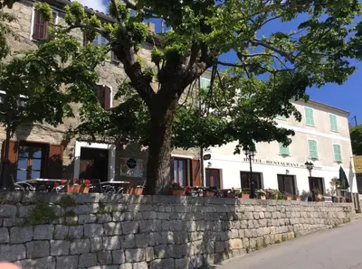 a tree sitting on a stone wall next to a building at Hotel Restaurant de la Poste in Aullène
