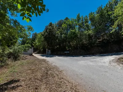 a dirt road with trees on the side at Holiday Home Maison Josée by Interhome in Cervione