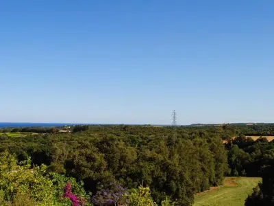 a view from the top of a hill with trees at Holiday Home Maison Gerard by Interhome in Cervione
