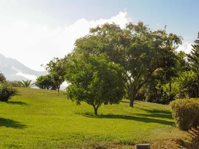a green field with two trees on a hill at Holiday Home Maison Gerard by Interhome in Cervione