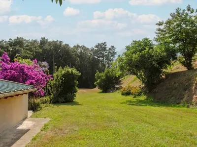 a garden with pink flowers and trees on a hill at Holiday Home Maison Gerard by Interhome in Cervione