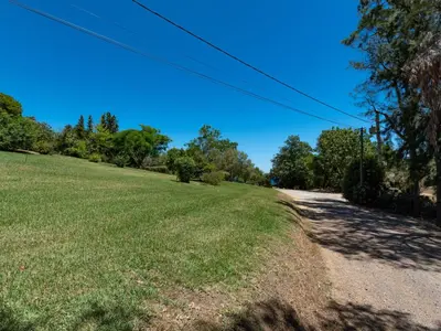 a view of the ocean from a hill with trees at Holiday Home Maison Christian by Interhome in Cervione