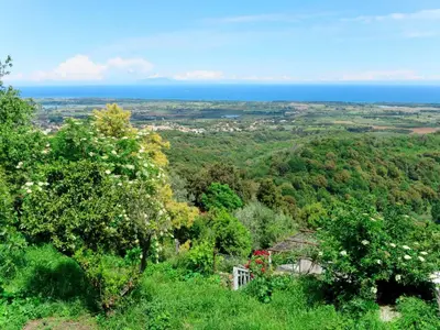 a green field with two trees on a hill at Holiday Home Maison Christian by Interhome in Cervione