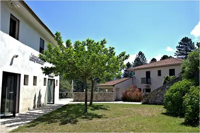 a tree in a yard next to a building at Auberge des Deux Sorru in Bains de Guagno