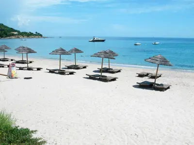a group of umbrellas and chairs on a beach at Apartment Residence Marina di Favone- T3- 4-6 pers-2 by Interhome in Favone