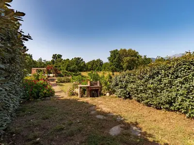 a garden with a bench in the middle of a field at Villa Gelormini-2 by Interhome in Prunelli-di-Fiumorbo