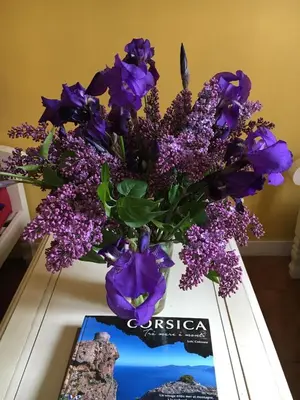 a vase filled with purple flowers sitting on a table at Casa Meridiana in Calacuccia