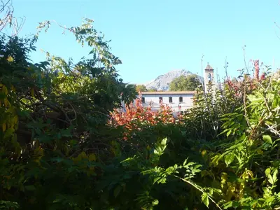 a building with a clock tower behind some plants at Casa Meridiana in Calacuccia