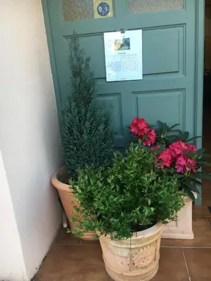 a pair of potted plants in front of a door at Casa Meridiana in Calacuccia