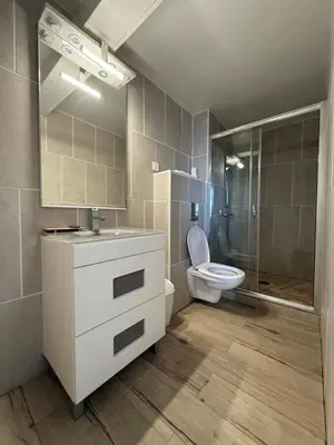 a bathroom with a toilet and a sink and a shower at Ferme auberge du col de la vaccia in Olivese