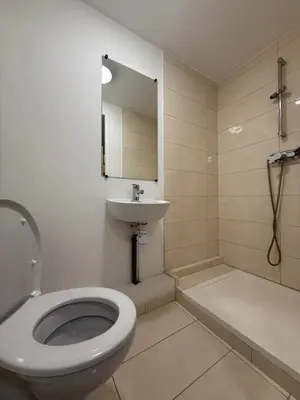 a bathroom with a toilet and a sink at Ferme auberge du col de la vaccia in Olivese