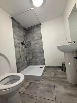 a bathroom with a shower and a toilet and a sink at Ferme auberge du col de la vaccia in Olivese