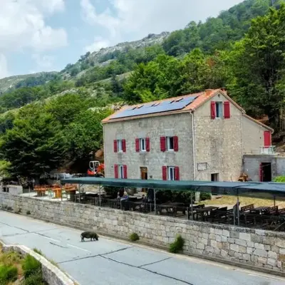Ferme auberge du col de la vaccia