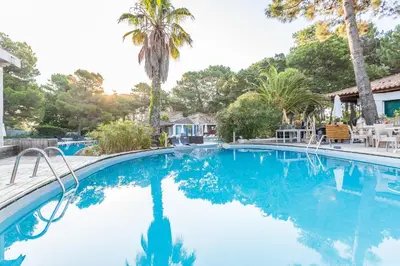 a swimming pool with blue water and palm trees at Kilina in Porto-Vecchio