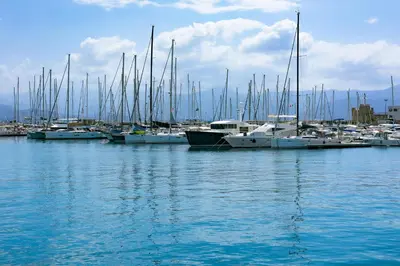 a bunch of boats are docked in a harbor at Hôtel de Porticcio in Porticcio