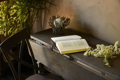 an open book sitting on a table with a plant at Hôtel E Tre Stelle in Bonifacio