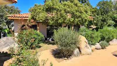 a garden with bushes and trees and a house at Villas Lantana in Porto-Vecchio
