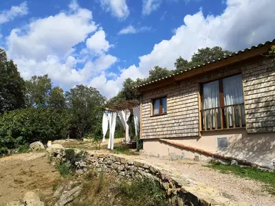 a house on a hill with trees in the background at A Cantina Chalet avec Piscine proche d Ajaccio in Carbuccia