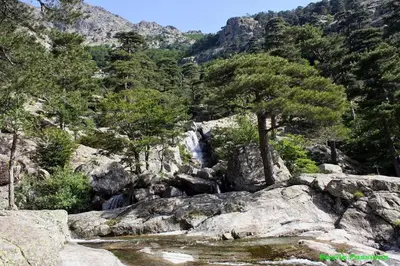 a mountain with a waterfall and trees and rocks at Gites Ugliastru PORTICCIO in Eccica-Suarella