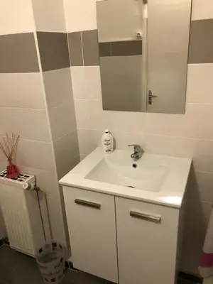 a bathroom with a white sink and a mirror at Pascal Paoli in Corte