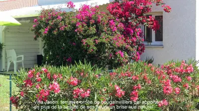 a bush of pink flowers in front of a house at Jason in Cervione