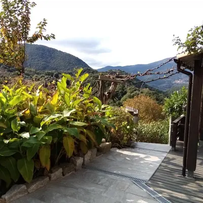 a garden with a view of the mountains at les chalets montagne alta rocca in Zicavo