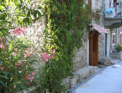 an ivy covered building with a door and flowers at les chalets montagne alta rocca in Zicavo