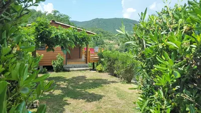 a house in the middle of a yard with trees at les chalets montagne alta rocca in Zicavo