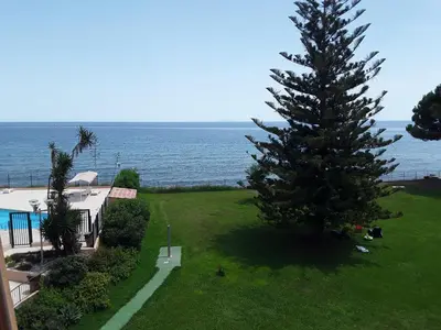 a large pine tree on a lawn next to the ocean at Studio les pieds dans l'eau in Santa-Lucia-di-Moriani