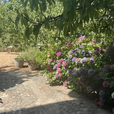 a bunch of colorful flowers in a garden at Hotel La Terrasse in Zonza