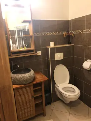 a bathroom with a toilet and a sink at Hotel La Terrasse in Zonza