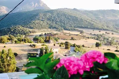 a view of a valley with mountains and pink flowers at Residence Paradisu Ajaccio in Appietto