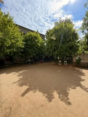 a large courtyard with trees and a kite in the air at Hôtel - Pub Le Petit Bosquet in Santo-Pietro-di-Venaco