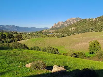 a green field with trees and mountains in the background at Ferme de Roccapina in Sarragia