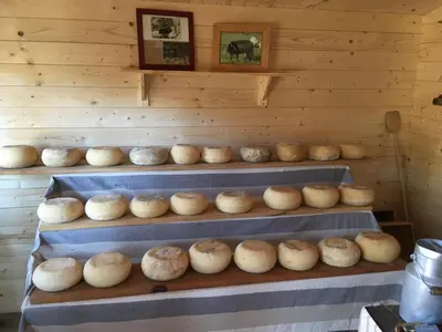 a room filled with lots of different types of bread at Ferme de Roccapina in Sarragia