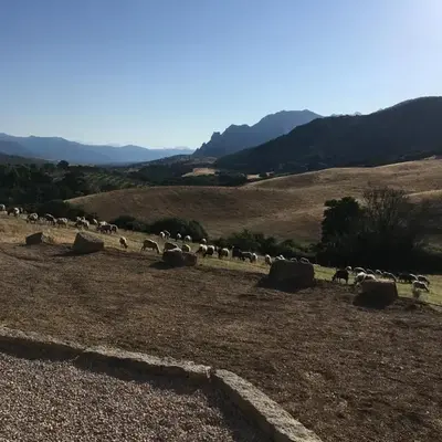 Ferme de Roccapina