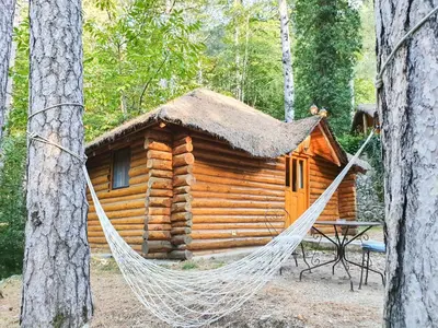 a hammock in front of a log cabin at Hôtel Restaurant U Castellu Vizzavona in Vizzavona